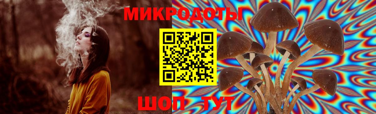 Галлюциногенные грибы прущие грибы Абакан